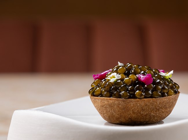 Origins and Early Steps